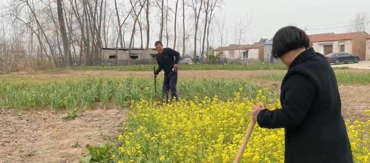 徐兵阳光家庭真实吗,徐兵的残疾