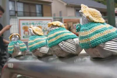 害怕小鸟受凉，有人悄悄为它们织了22年的毛衣