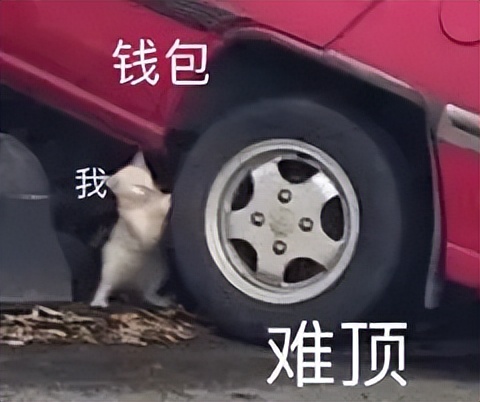 为什么现在插线板都这么贵,插线板有没有必要买太贵