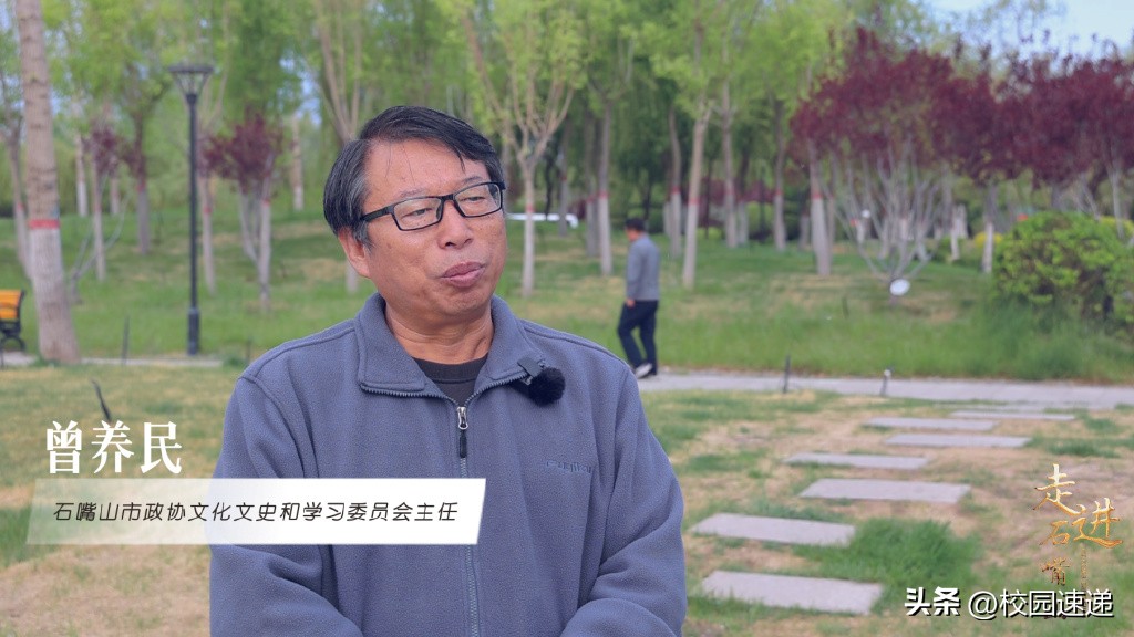 石嘴山真实历史,宁夏奇石的秘密