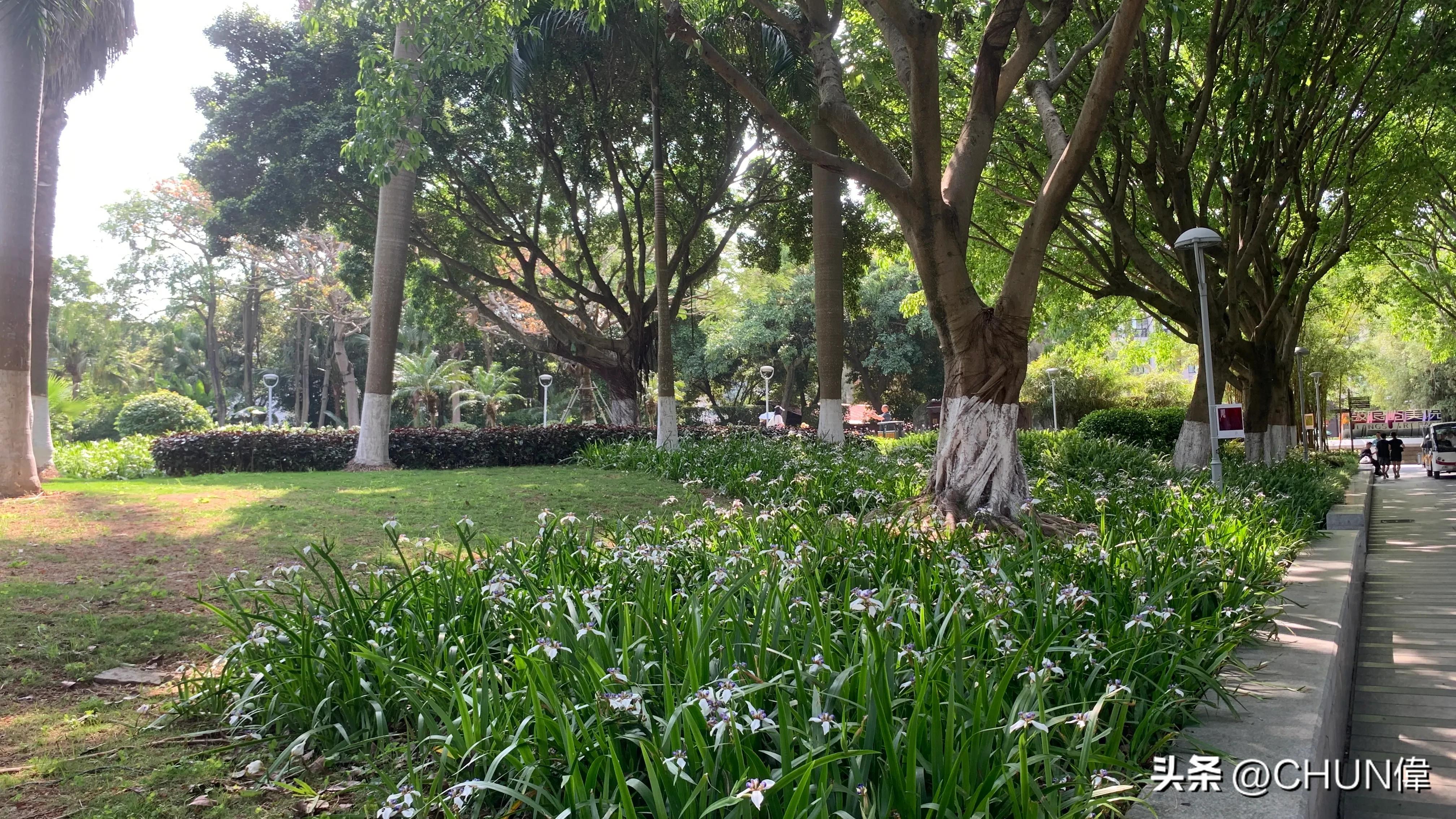 自由行厦门鼓浪屿四天怎么安排,鼓浪屿一日游五一