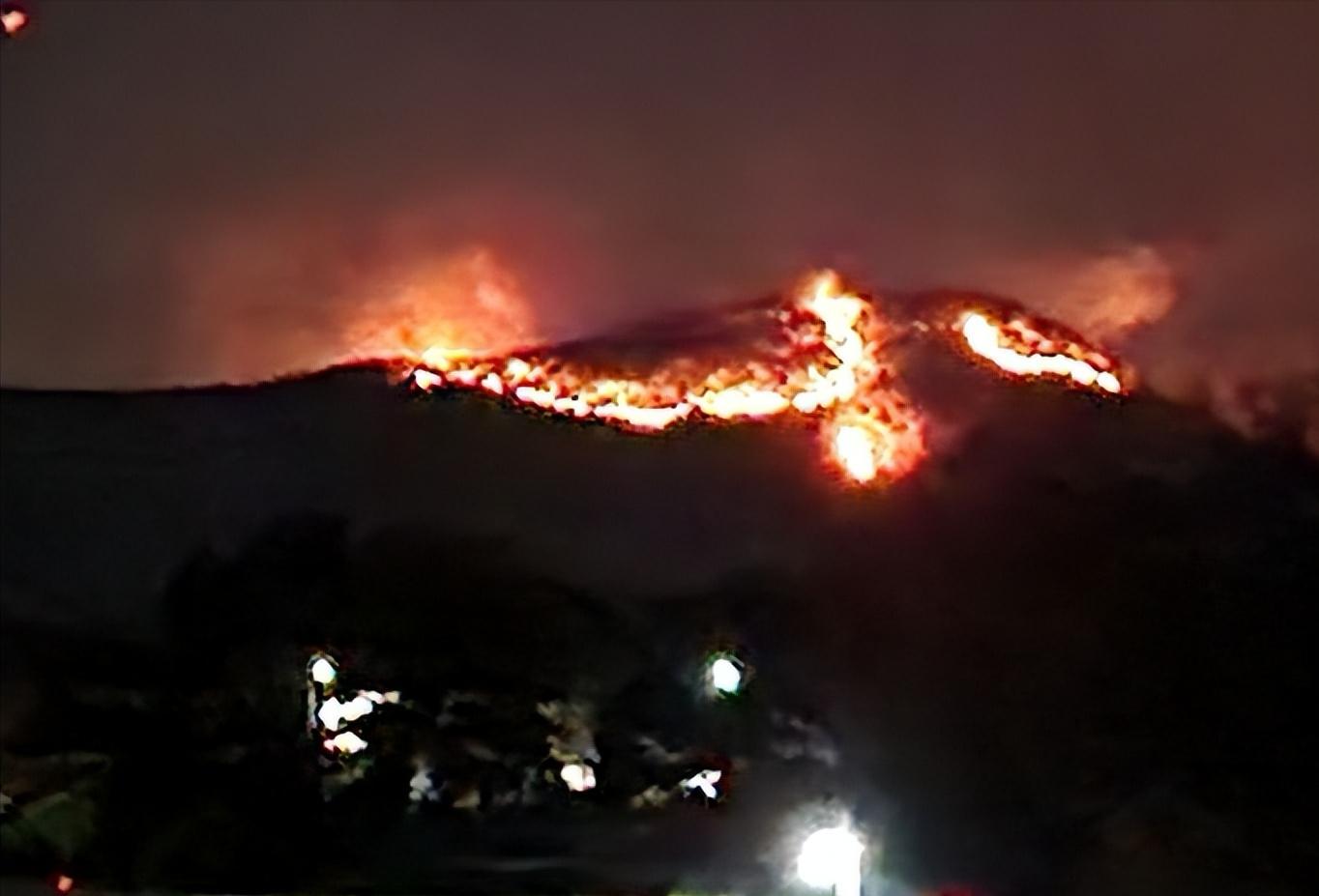 火海被烧,韩国山火过火面积