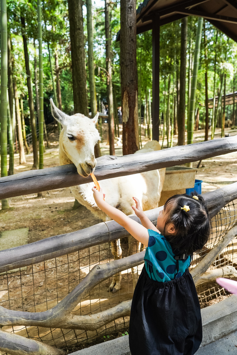 安吉中南百草园二天一夜攻略,安吉中南百草原刺激游乐项目