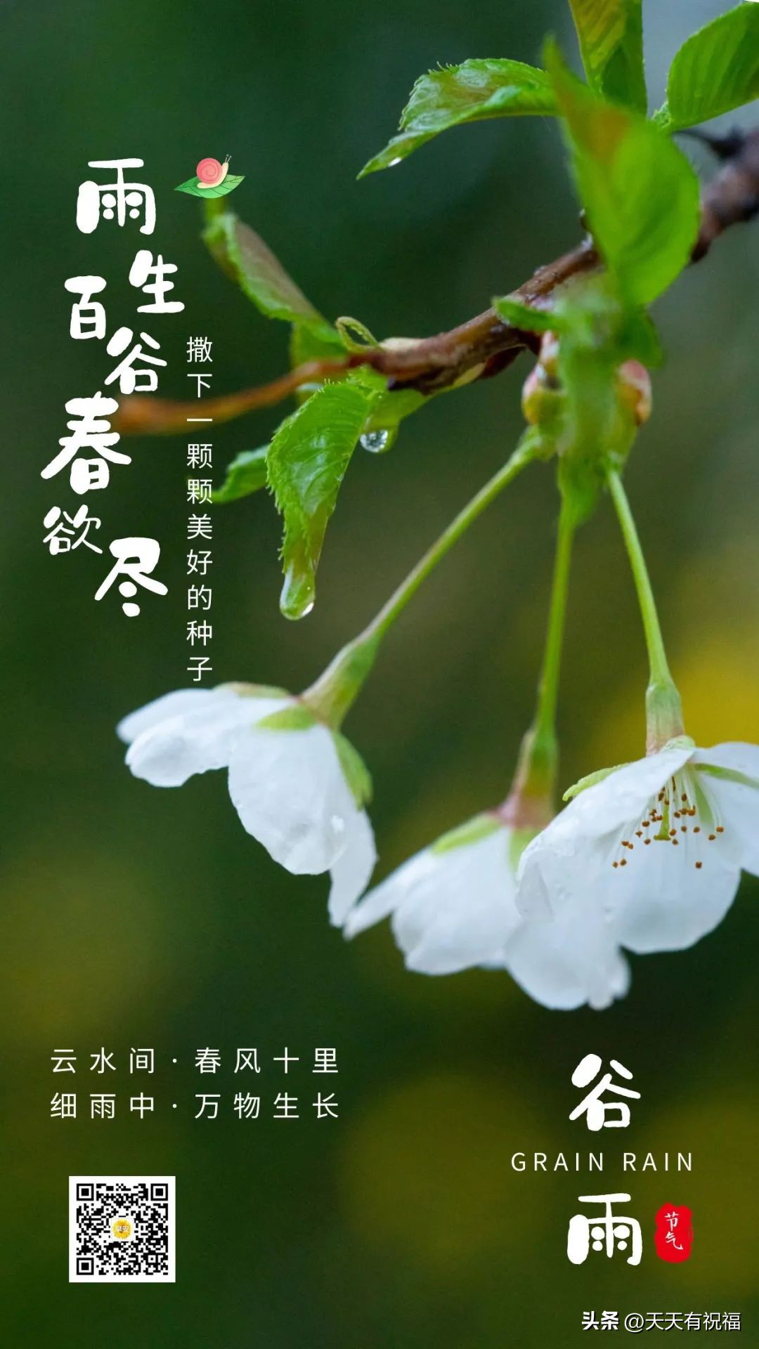 今日谷雨,细雨甘霖送健康,愿你幸福阳光灿!