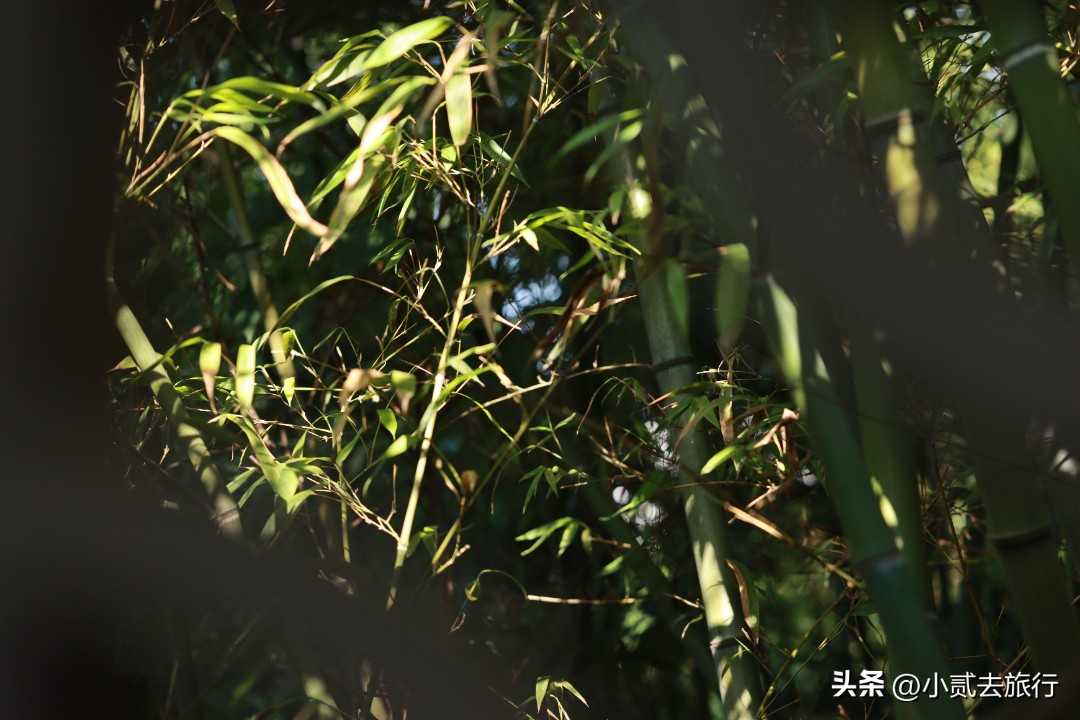 南京瞻园汉服摄影,南京瞻园园林山水布局