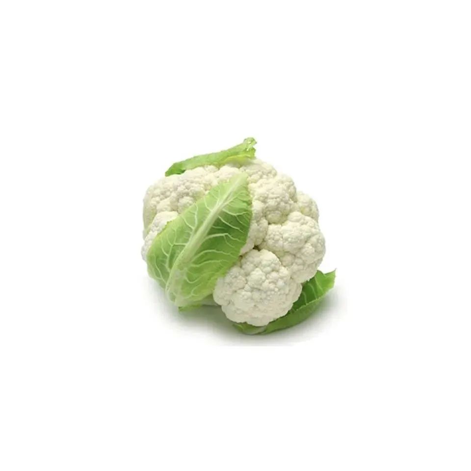 闺头真人沙雕头像三人搞笑,沙雕姐妹头像三人天线宝宝