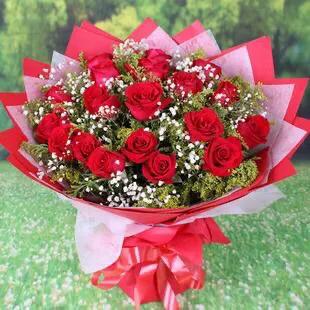 白玫瑰和红玫瑰的区别,红玫瑰与白玫瑰黄玫瑰