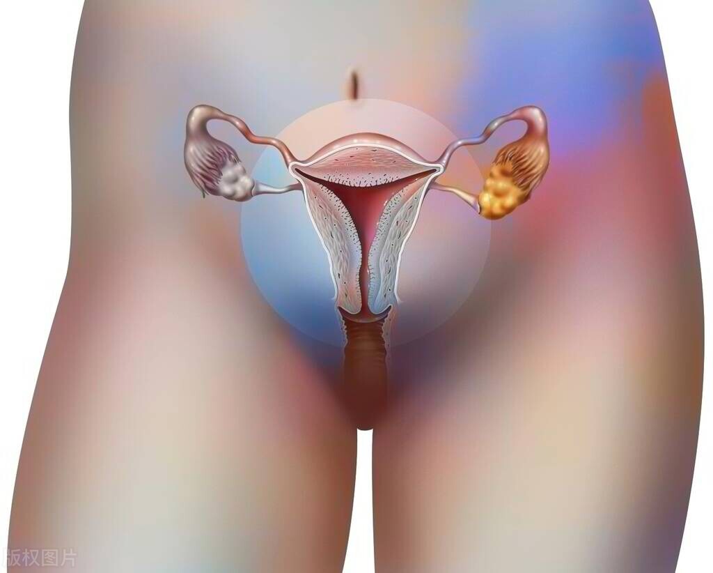 女人第一次一定会“落红”?这层膜到底有何用?别被男人*脑洗**了