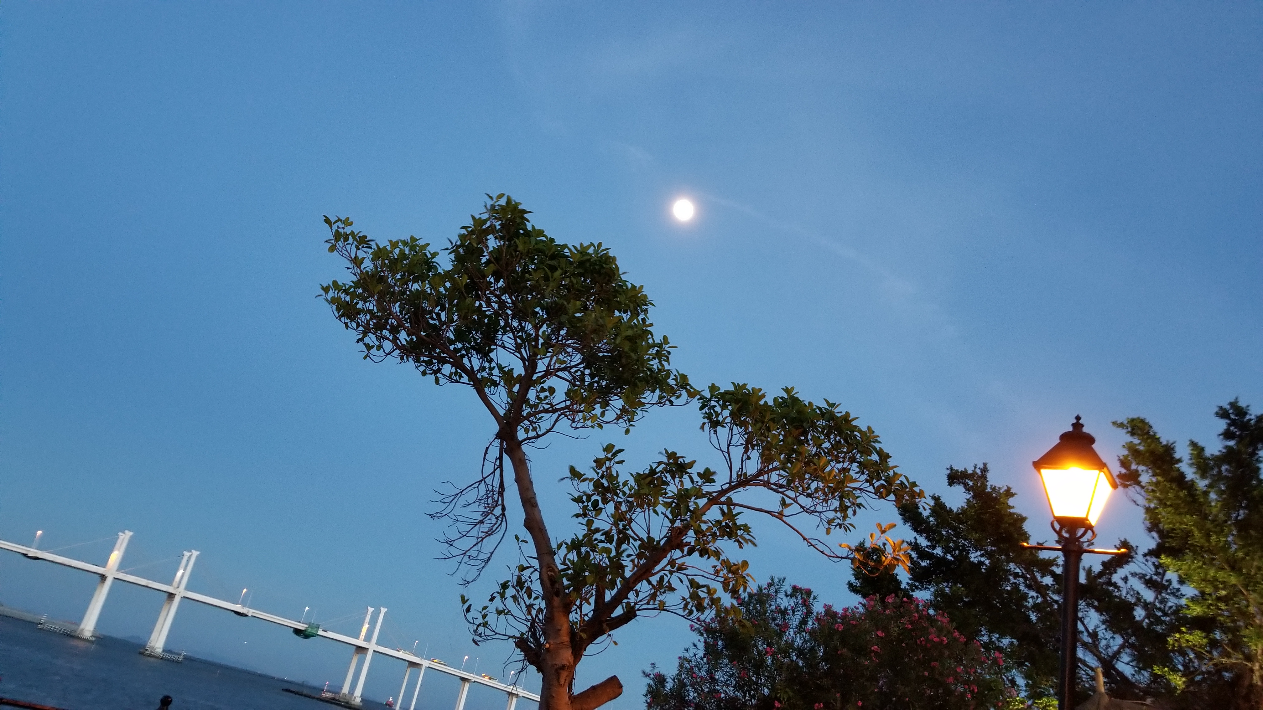 人为什么喜欢怀念从前,人为啥总喜欢怀念过去