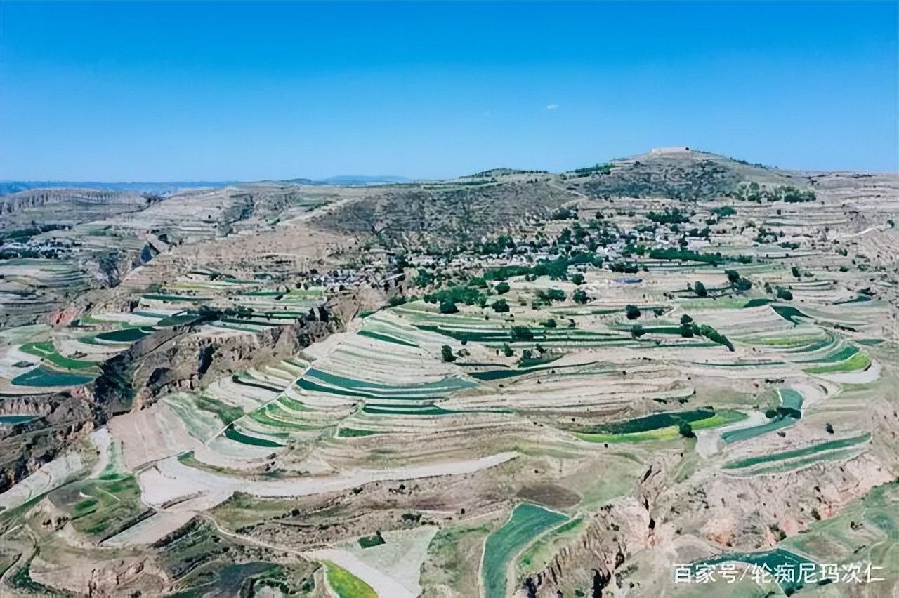 李为何能问鼎最强姓氏,李是不是中国最强的姓氏