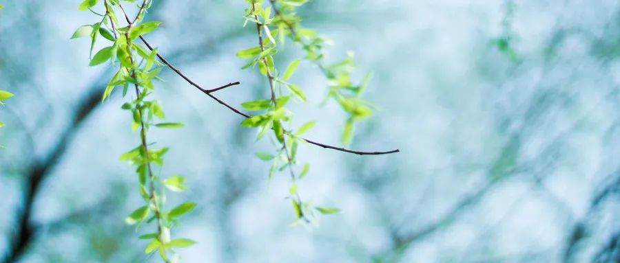 叠字诗词大全带图片,经典叠字古诗词