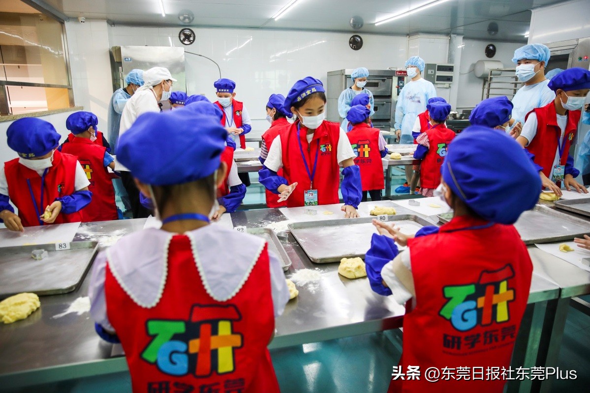 研途有你学在东莞|“世界工厂”如何玩转“行走的课堂”？一起解锁研学新玩法