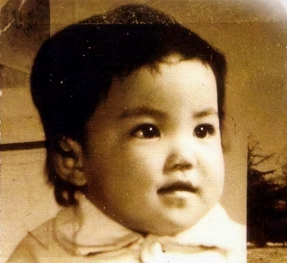 谢霆锋王菲朴树窦唯周迅李亚鹏,王菲谢霆锋李亚鹏周迅窦唯关系图