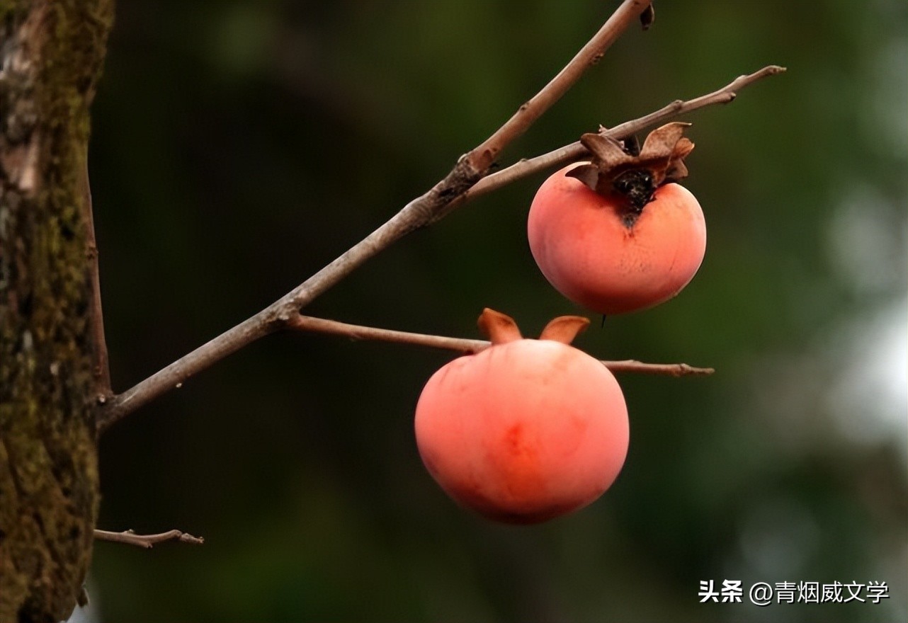 七律忆昔日往事,七律再忆儿时感怀诗