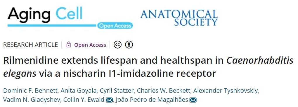 高血压最新研发药物,2020年全球高血压药物研究