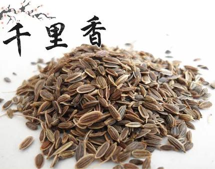 「香料包的秘密10」百里香，千里香，迷迭香，傻傻分不清楚的香料