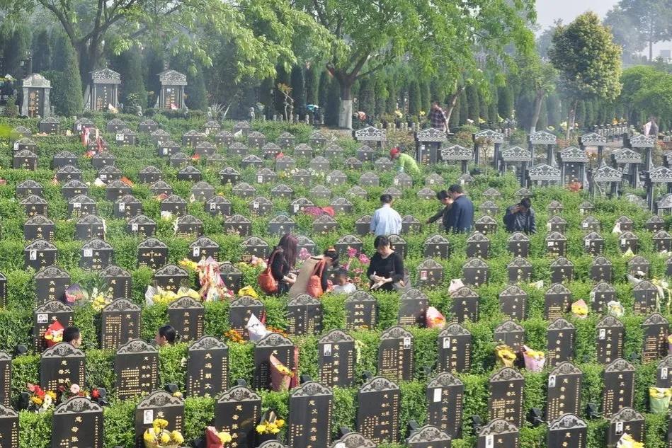 人火化后骨灰为什么那么少,火化后的骨灰真的是骨灰吗