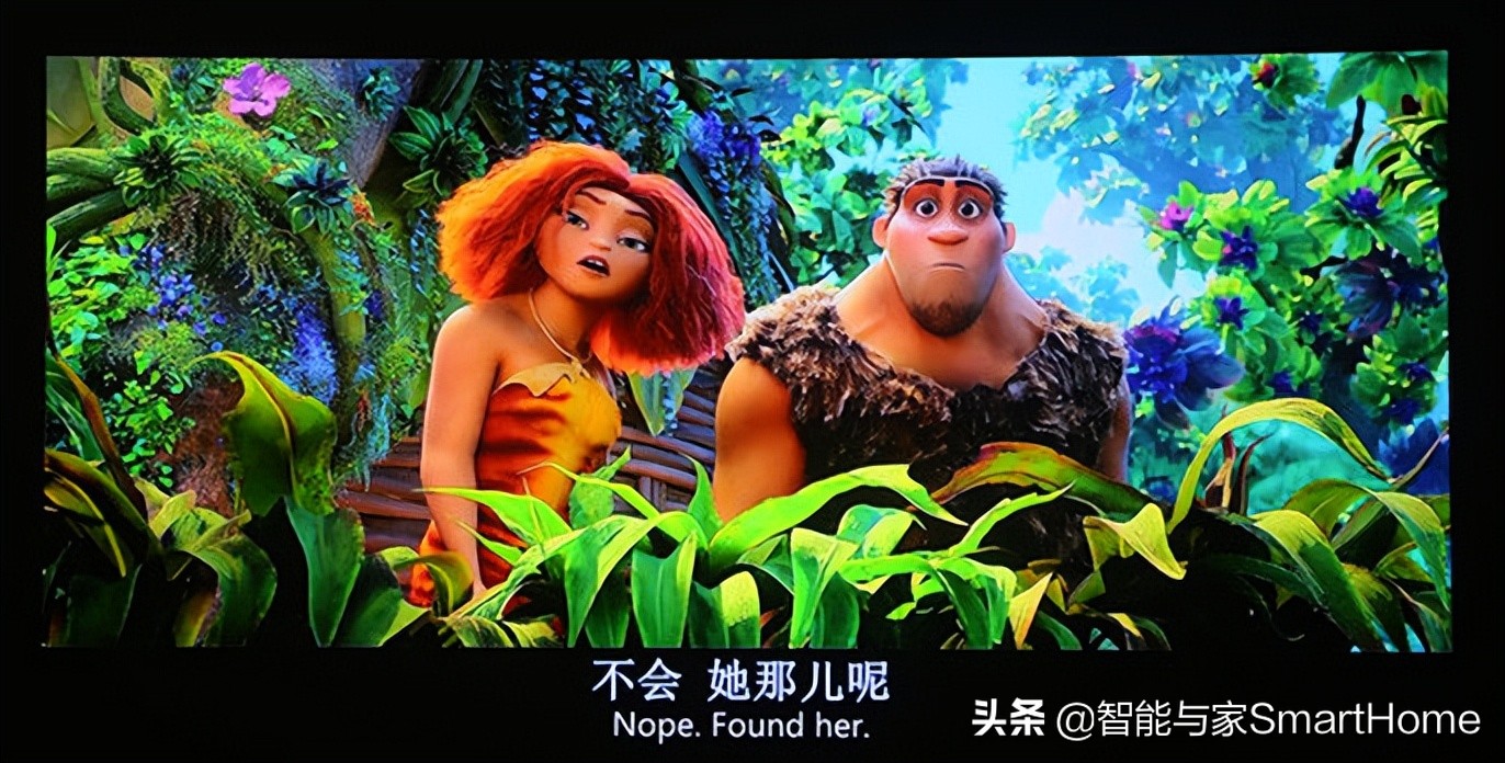 不求奢华，但求精品索尼VPL-VW598给我们怎么样的体验？