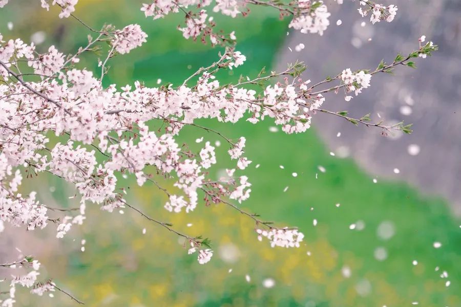 小窗幽记十句处世哲学,小窗幽记100句通透话