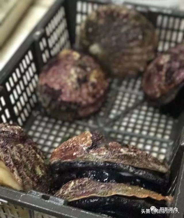 海鲜贝类品种大全及名字,22种海鲜贝类做法大全