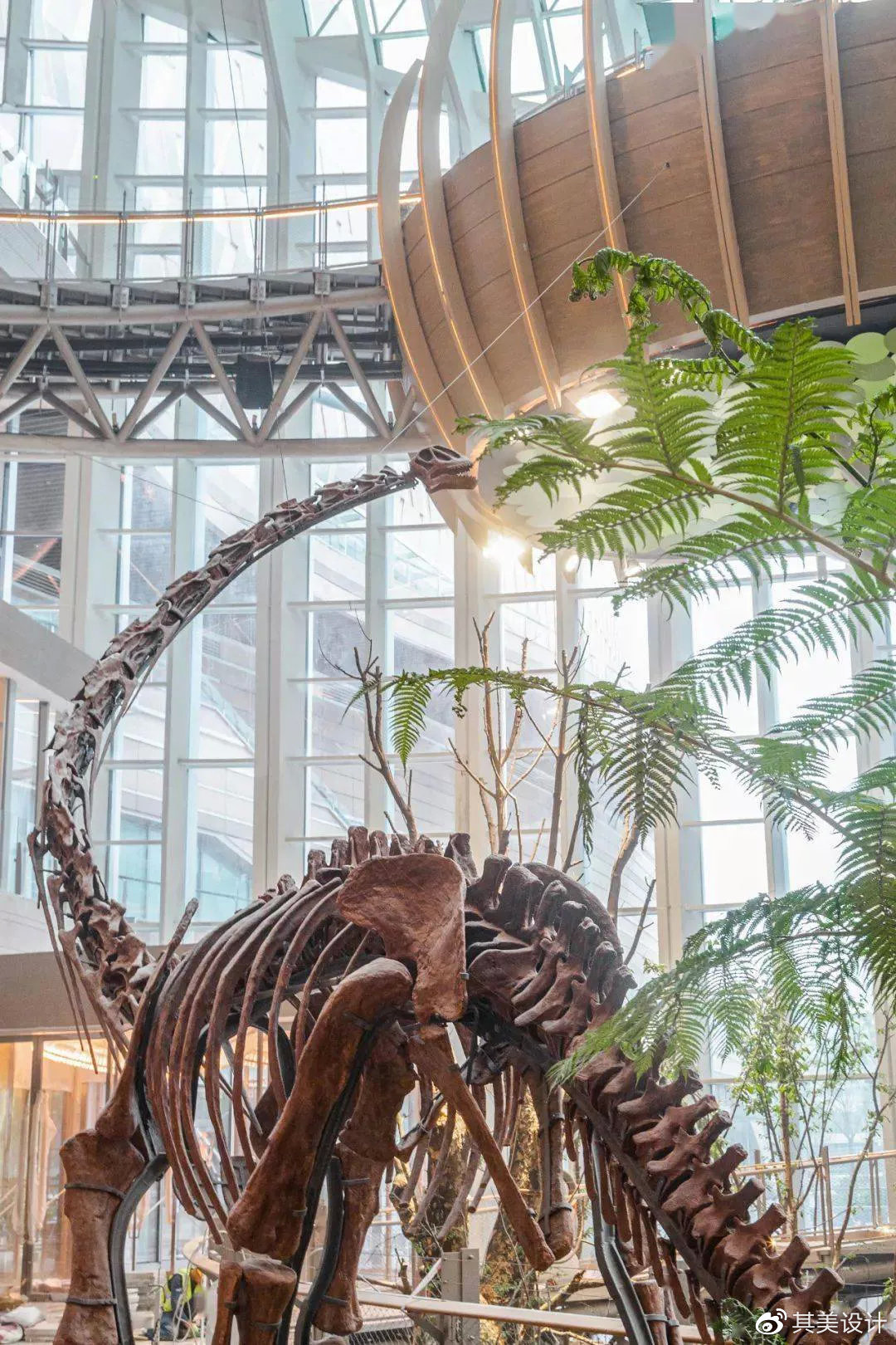 新消费发展的市场机会,新消费市场有哪些创业机会