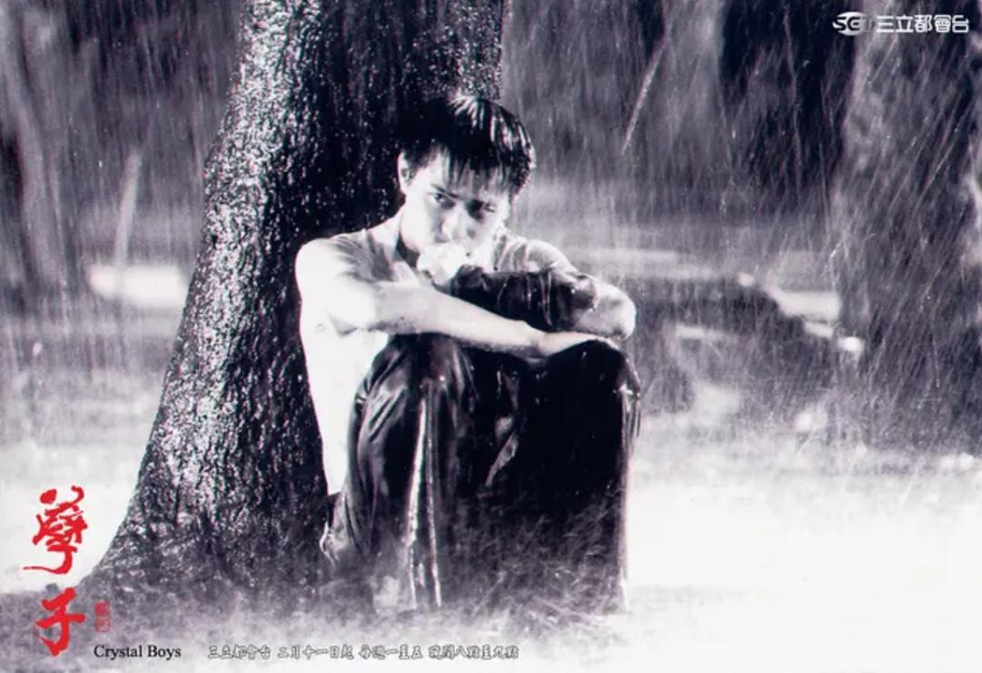 甜心教主王心凌走红哪个节目,甜心教主王心凌炸出了全网老粉