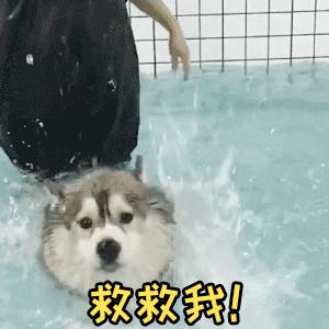 2022年十大暴跌股票,2022年十大妖股走势回顾