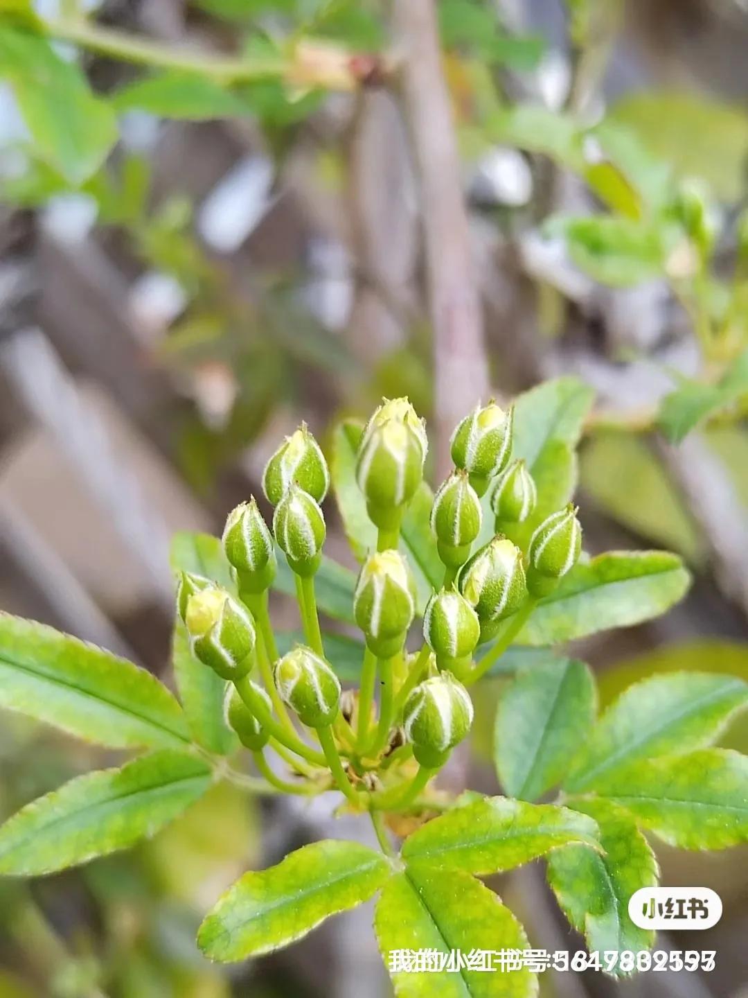 房地产企业的土地使用税如何计算,房地产企业的土地使用税怎么报