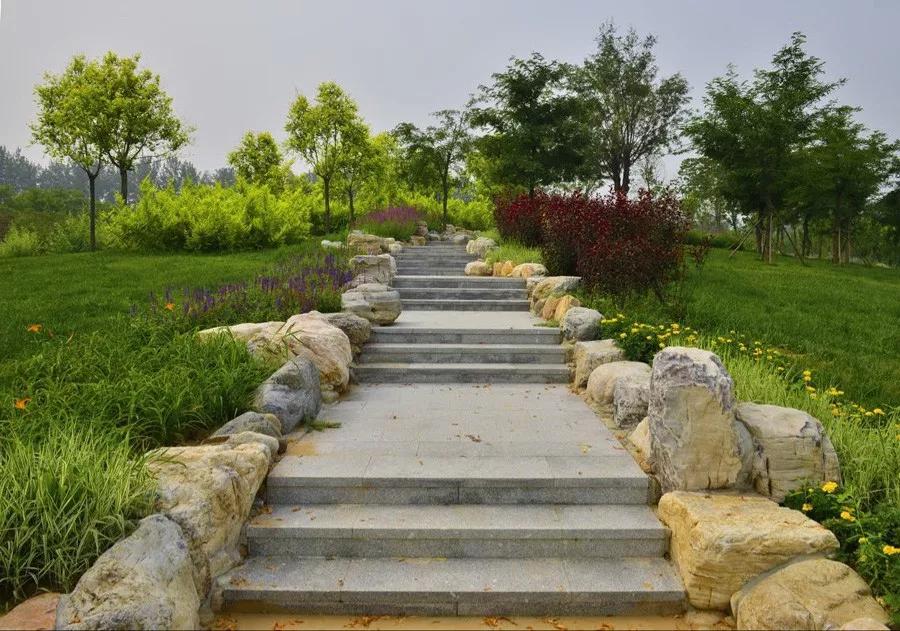 津北森林公园怎么样值得去吗,天津新晋森林主题公园