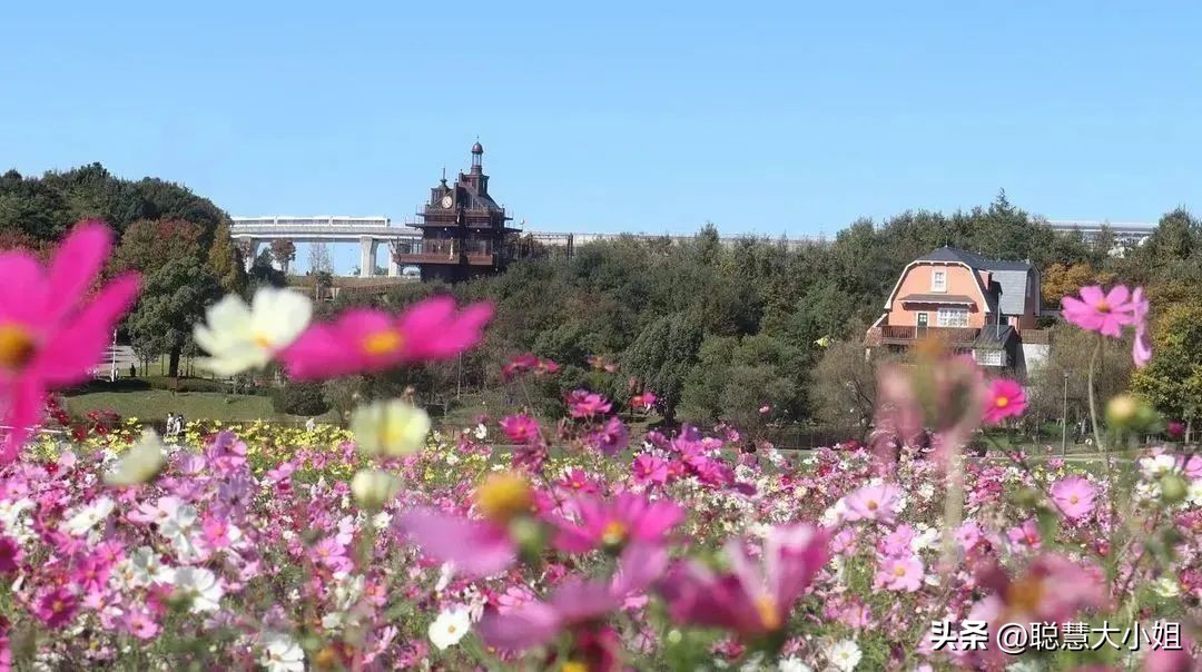 日本动漫圣地宫崎骏吉卜力美术馆,宫崎骏吉卜力美术馆购票攻略