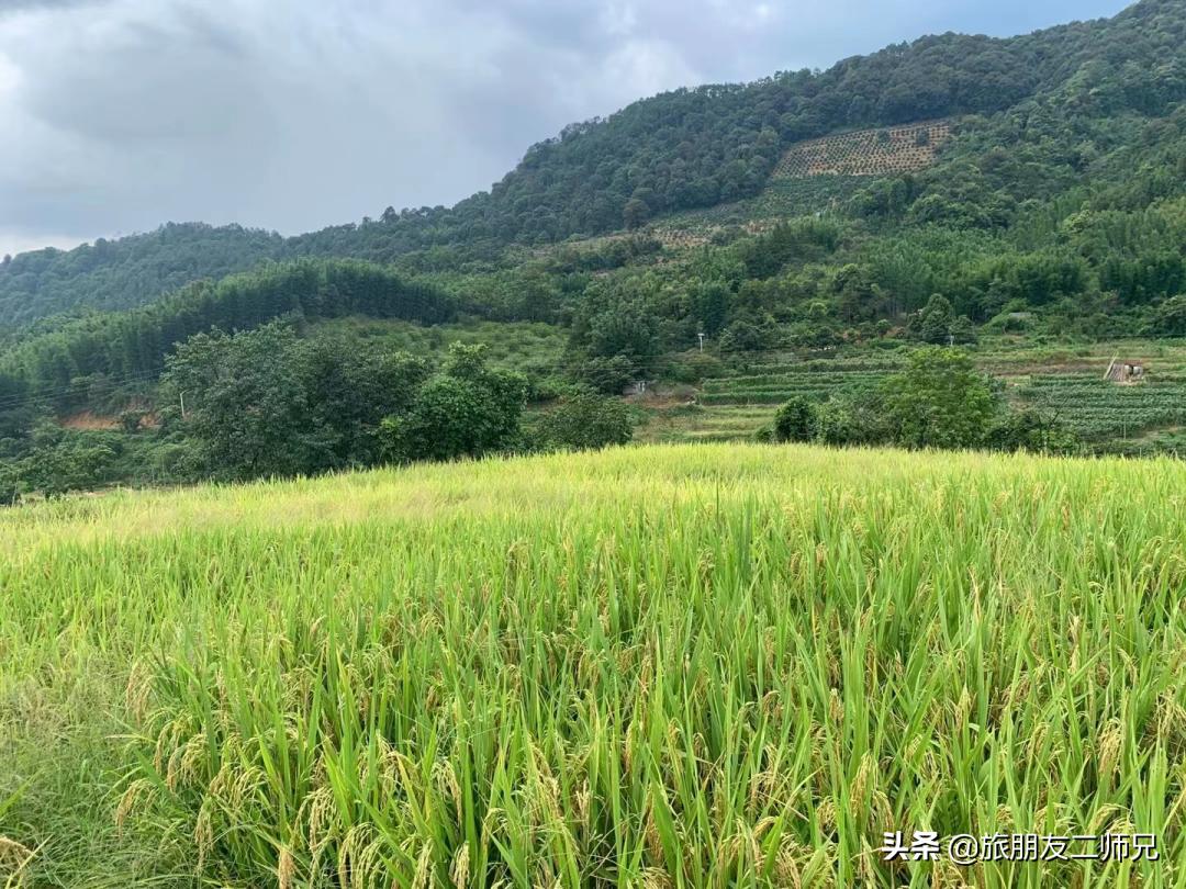 从化吕田一日游必去景点,从化溪头村自驾徒步攻略