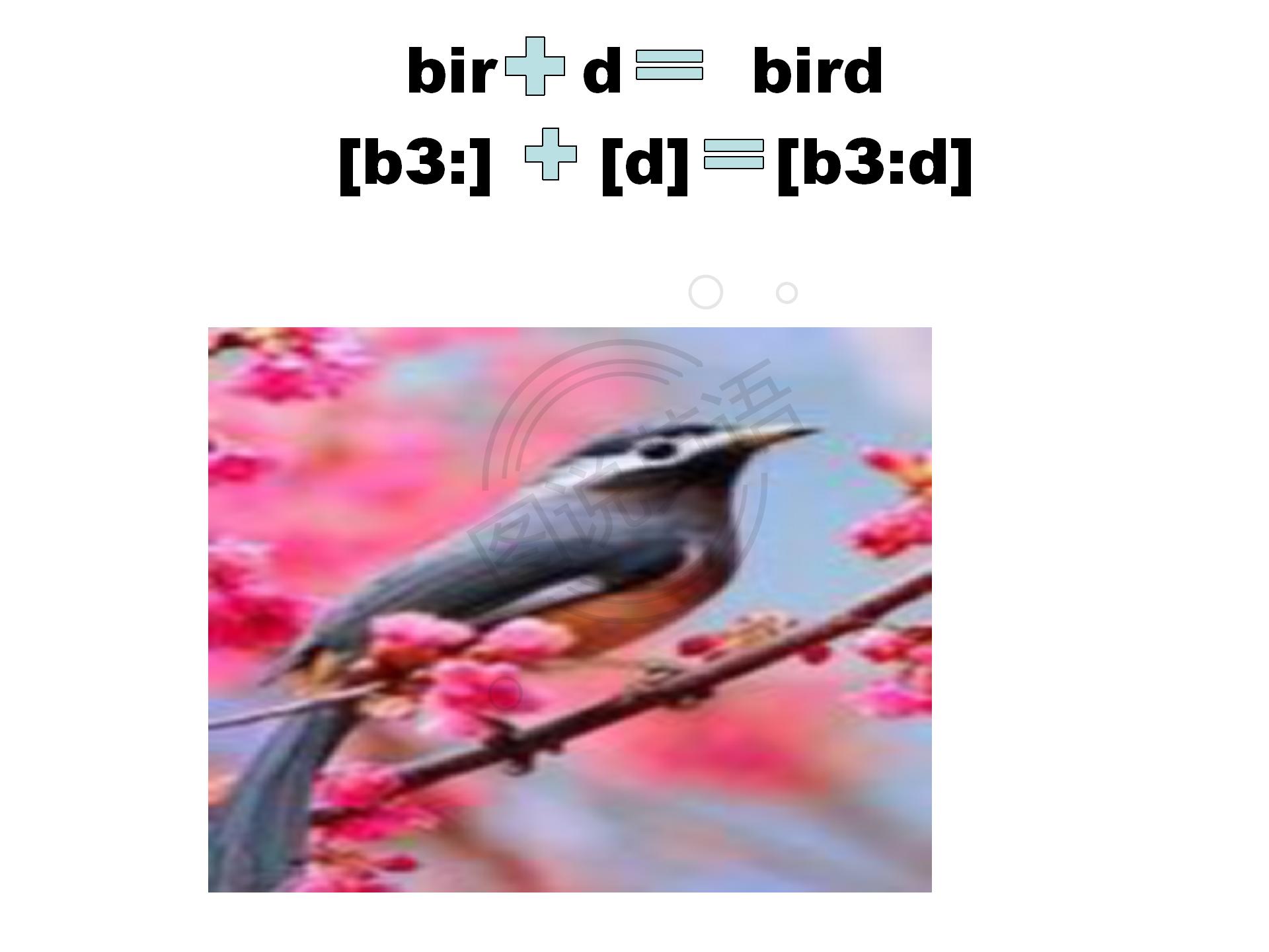 如何快速默写48个国际音标,音标背诵最快的方法