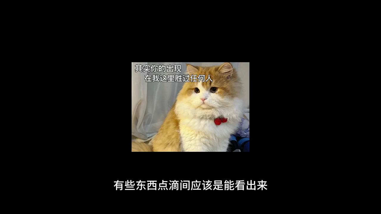 被好朋友告白该不该答应,被不喜欢的朋友告白怎么办