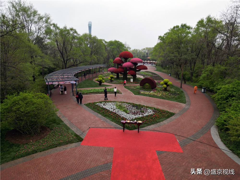 沈阳世博园金秋美景,沈阳世博园一日游详细攻略