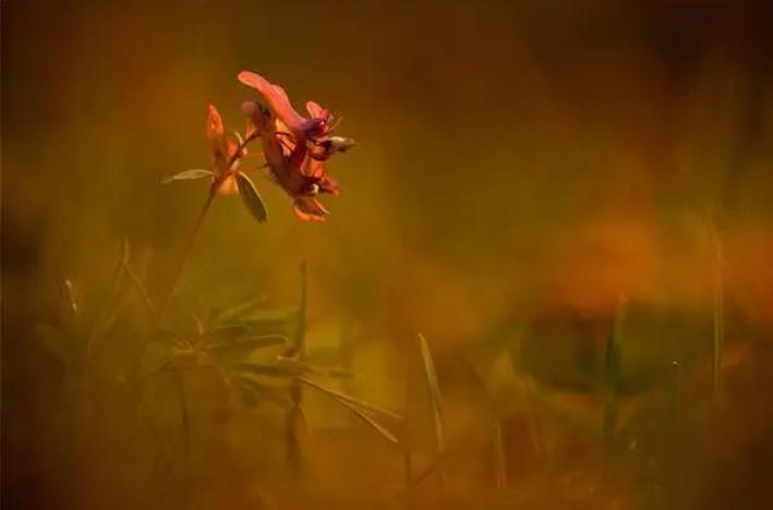 夫妻之间没有共同使用的三样东西,夫妻之间不要共用三样东西