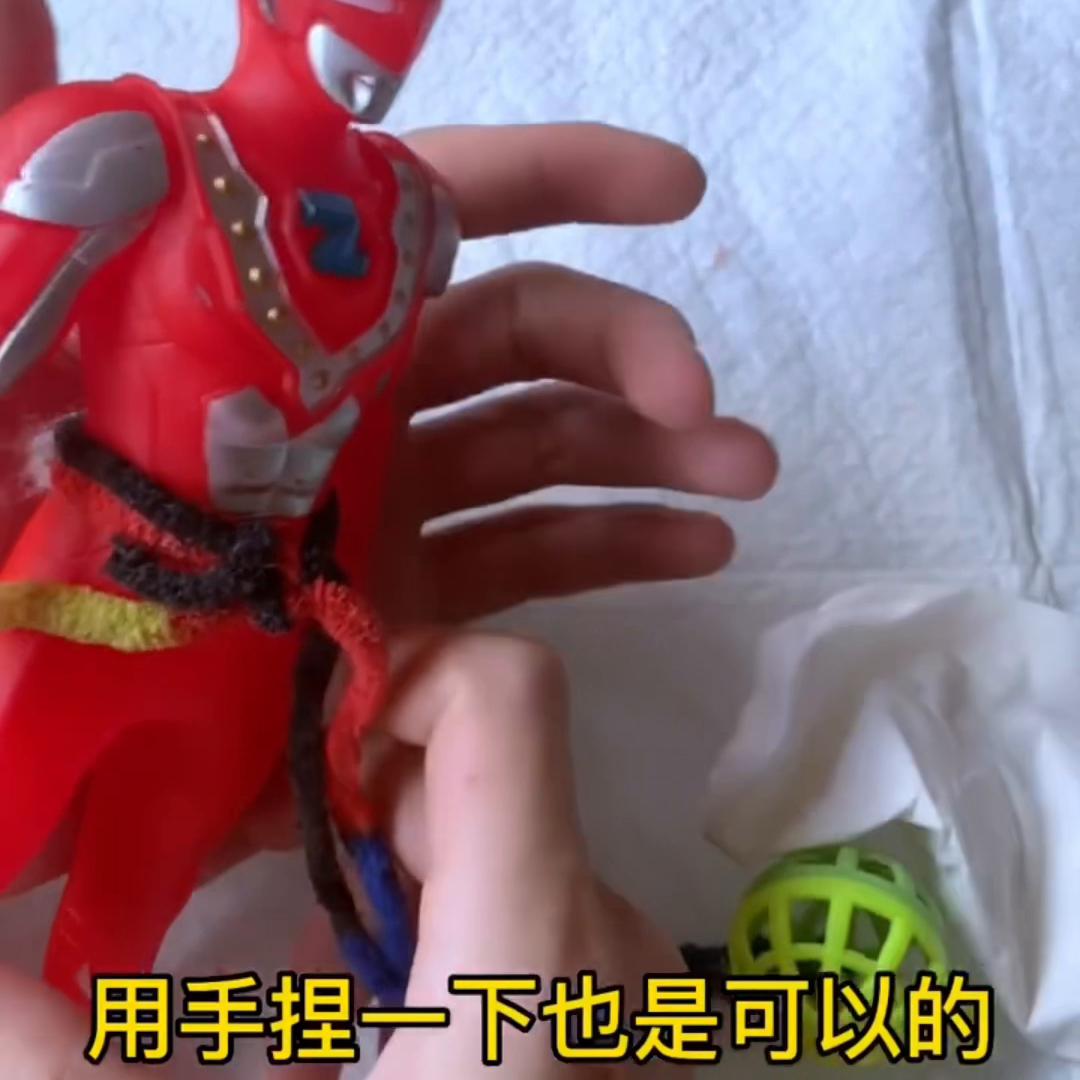 猫咪接生教程旁边可以有人吗,猫咪接生全攻略