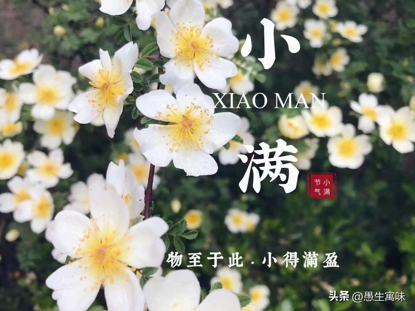 高考是什么时候出成绩,高考是什么感觉