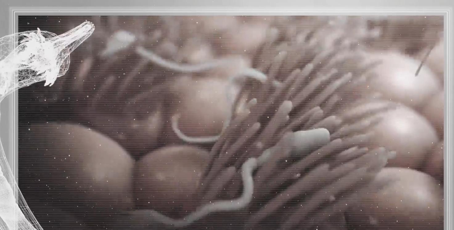 精子进入体内的24小时，都经历了什么？