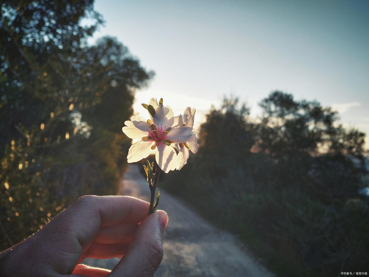 商业企业不能开具专用发票情形,不能开具专用发票的情形