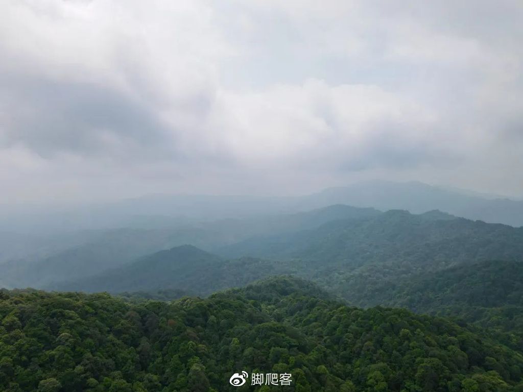 封开黑石顶自然保护区今日关注,广东封开黑石顶省级自然保护区