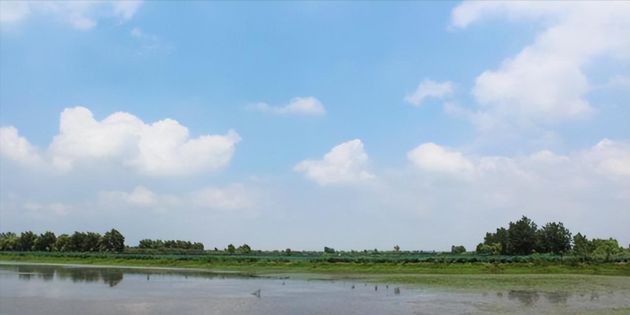 泗洪河蟹养殖用水草,江苏养河蟹技术