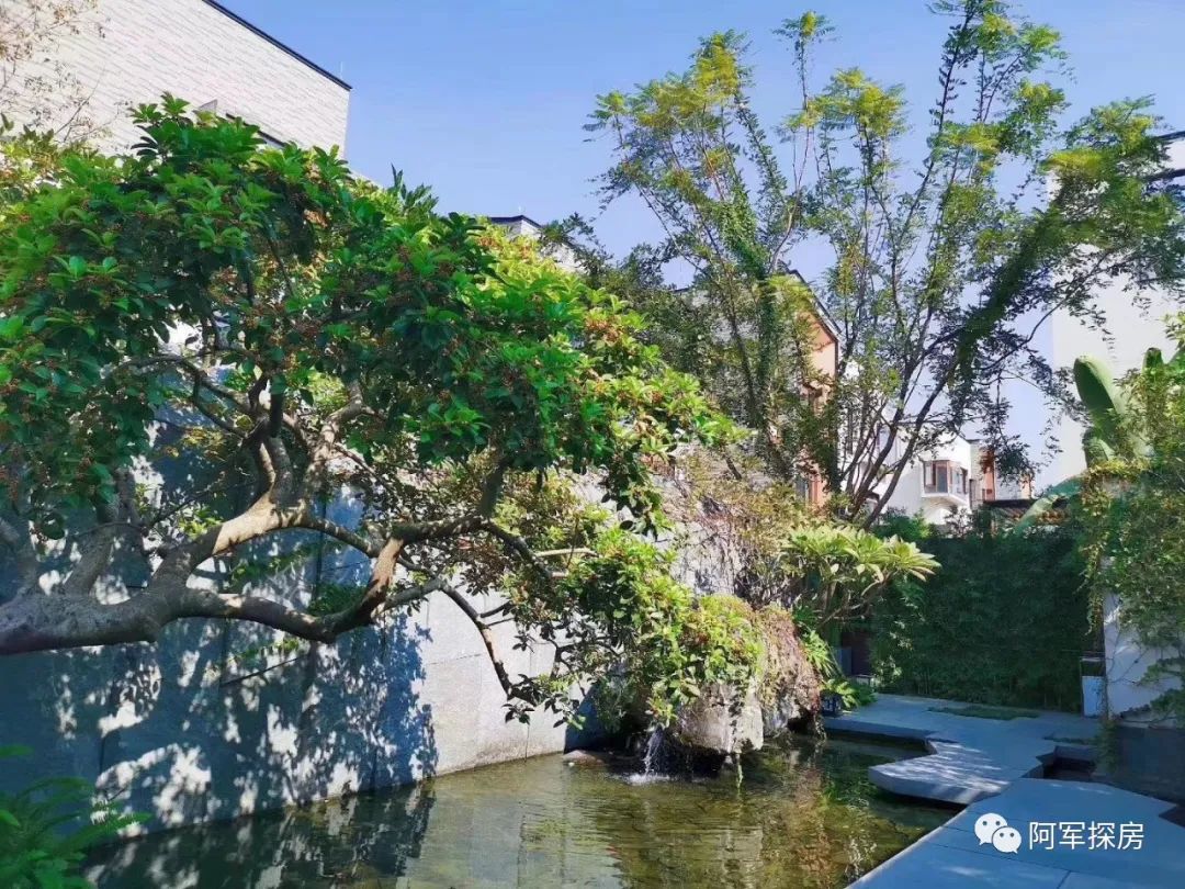 金沙洲低总价新楼盘,金沙洲力迅榕叠墅