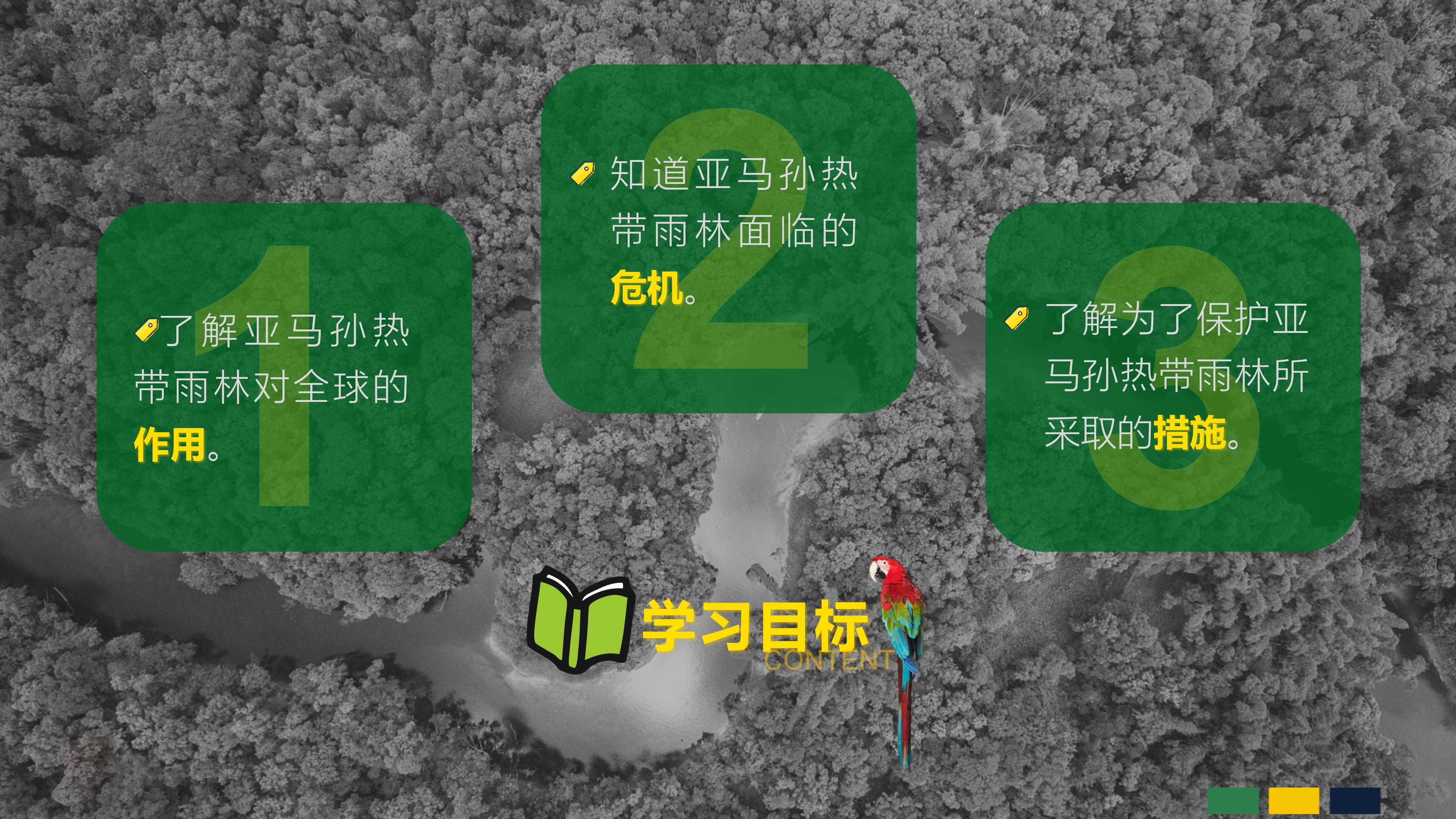 七年级下册地理第九章第二节巴西,七年级下册地理巴西2