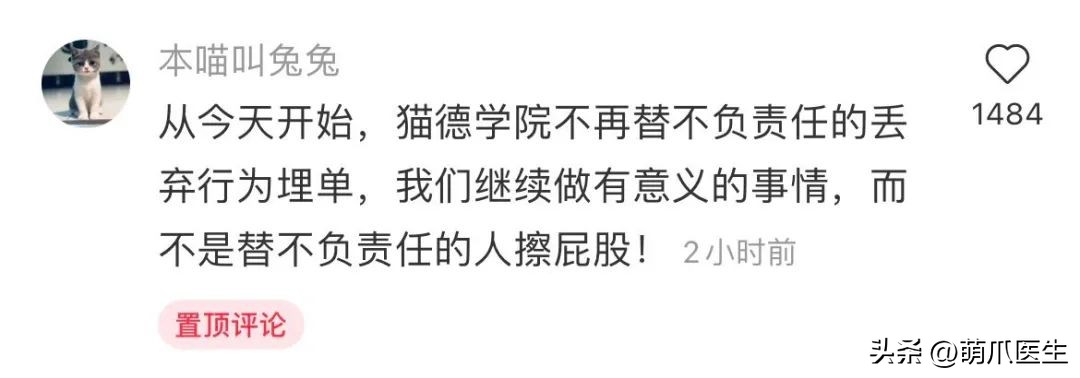 猫德学院被收养的猫咪现状,猫德学院关于遗弃猫咪的声明