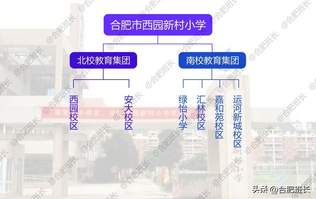 合肥五十中新分校区在哪里,合肥五十中是重点吗