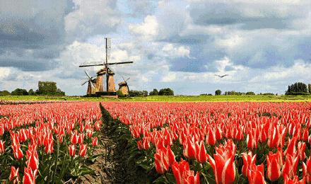 各个国家的英语全称,各个国家的英语说法