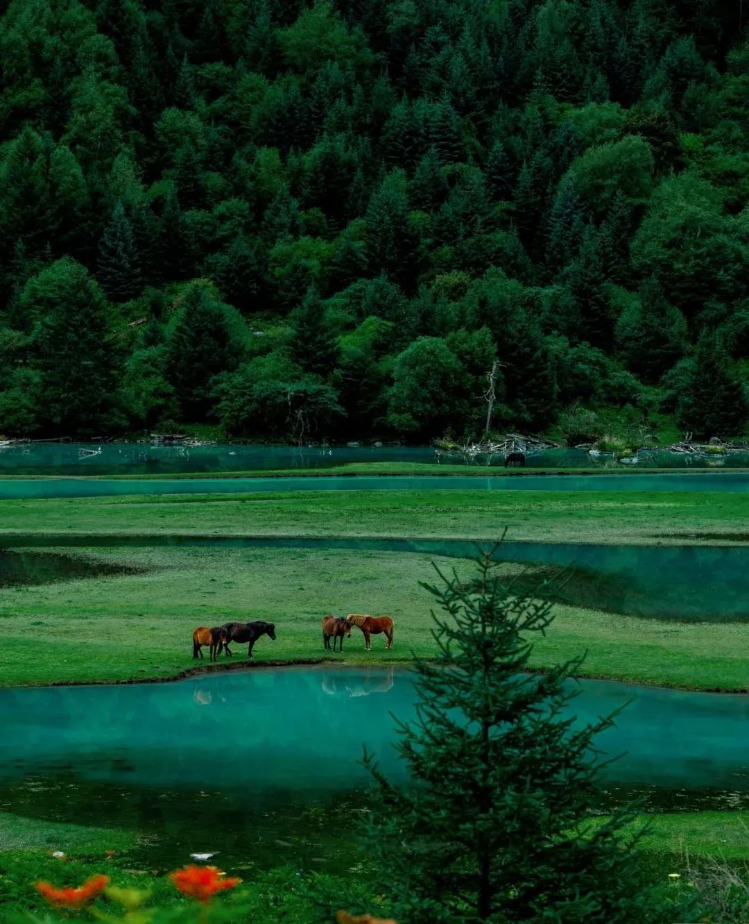 火出圈啦,甘孜文旅局长化身侠客火出圈