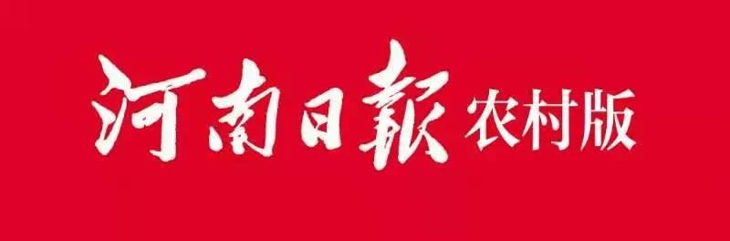 柘城县：“泡书屋”成为韦堤口村民新时尚