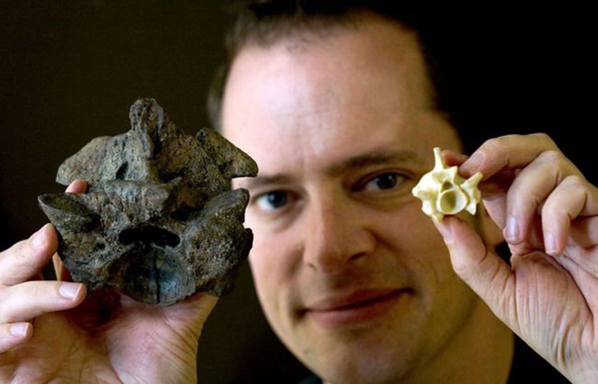 史前泰坦巨蟒到底有多长,泰坦巨蟒最大可以长到多大