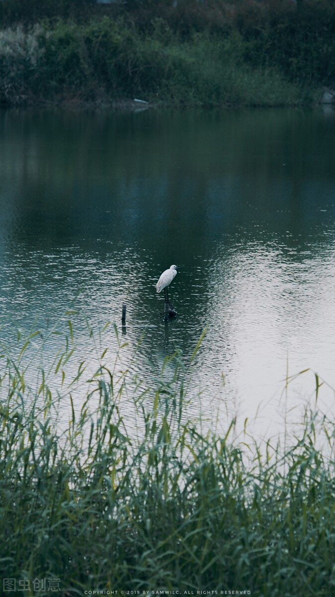 短篇小说新人,短篇小说说话